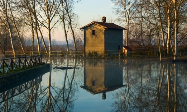 PADULE di FUCECCHIO PADULE di FUCECCHIO