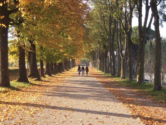 LUCCA LUCCA